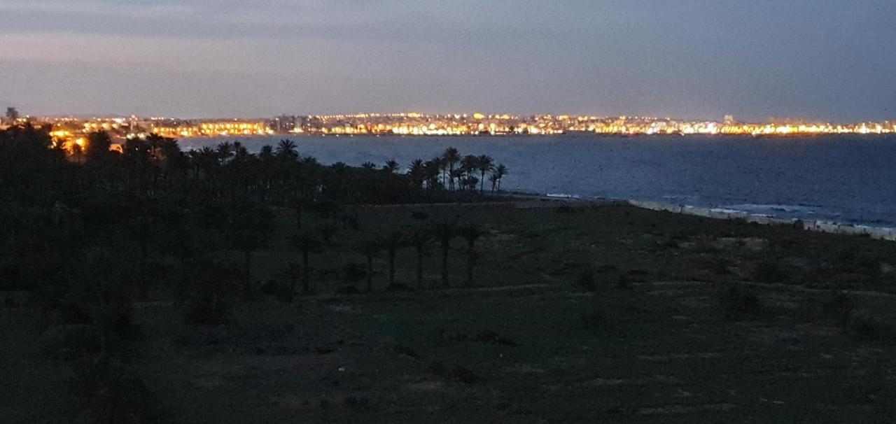 Pleamar Punta Prima Apartment Torrevieja Bagian luar foto